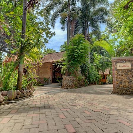 Bata Merah Homestay بانيووانجى المظهر الخارجي الصورة