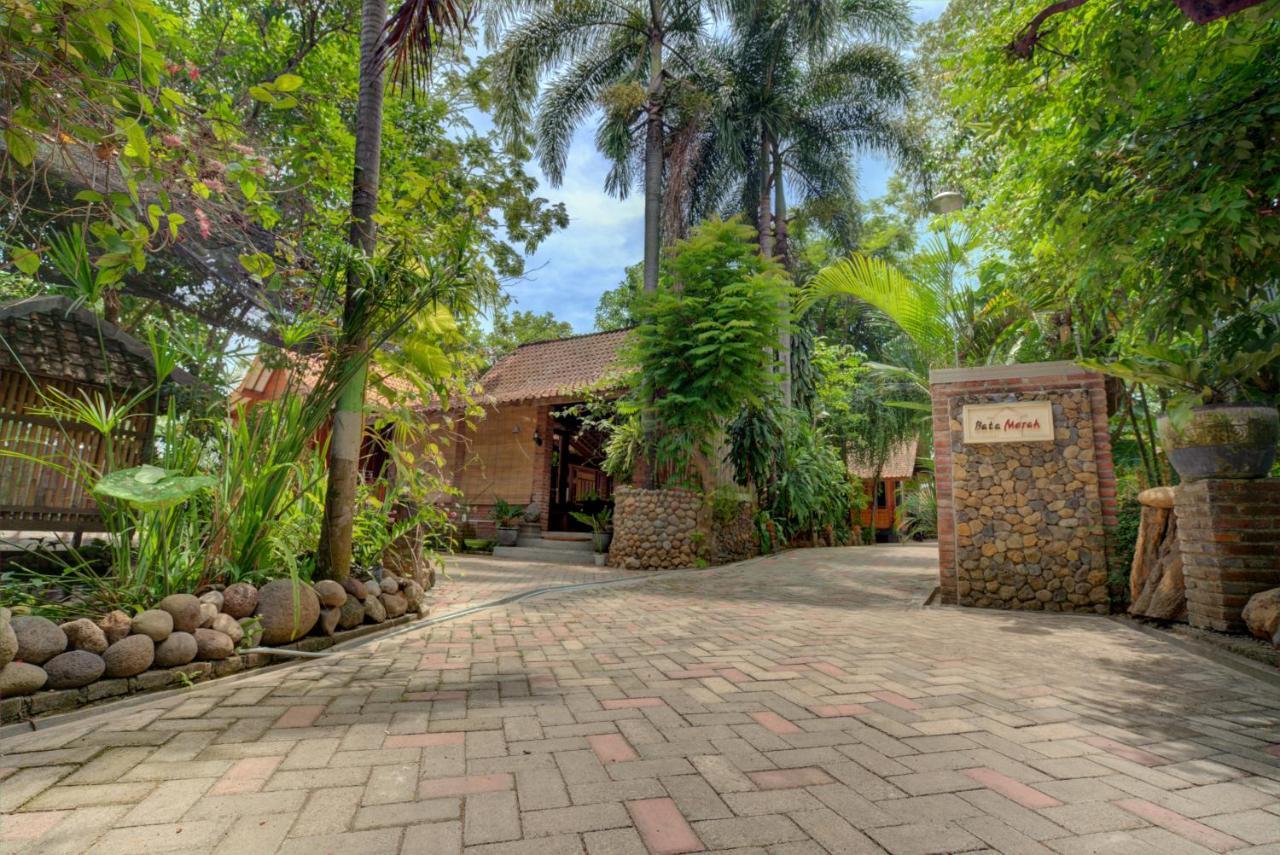 Bata Merah Homestay بانيووانجى المظهر الخارجي الصورة