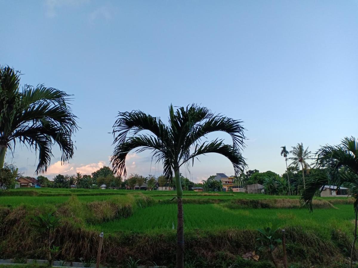 Bata Merah Homestay بانيووانجى المظهر الخارجي الصورة