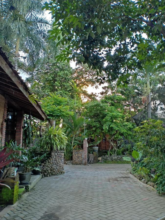 Bata Merah Homestay بانيووانجى المظهر الخارجي الصورة