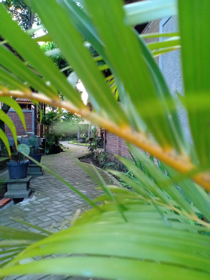 Bata Merah Homestay بانيووانجى المظهر الخارجي الصورة