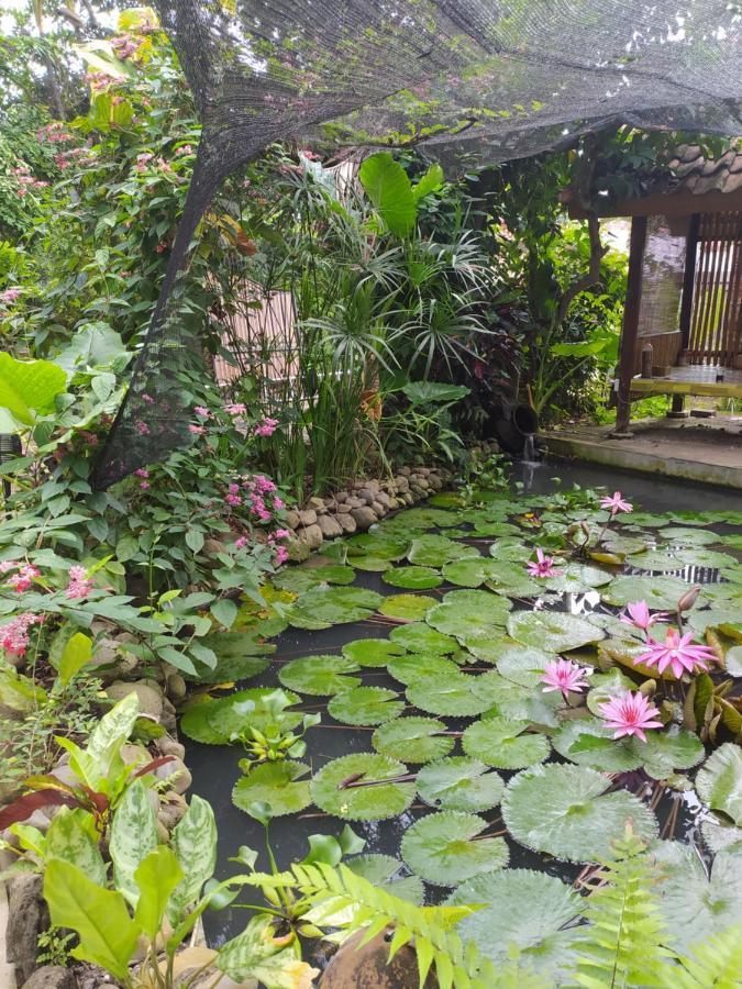 Bata Merah Homestay بانيووانجى المظهر الخارجي الصورة